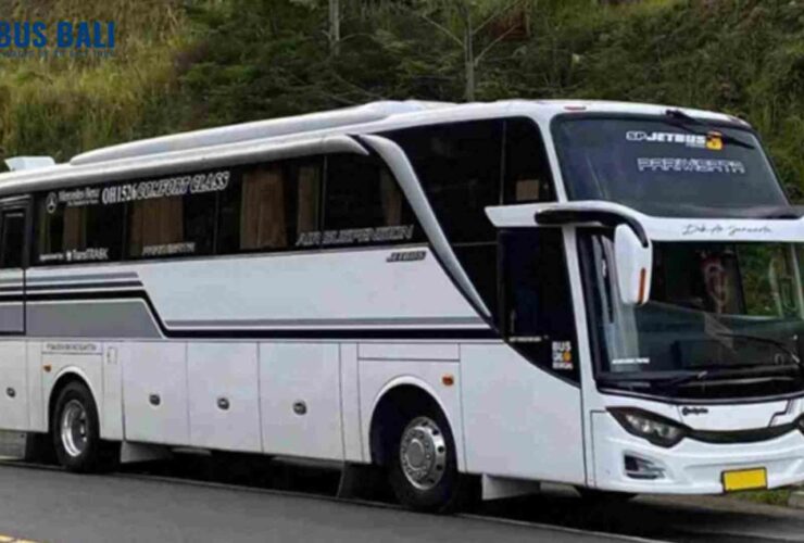 Bus 35 Seat di Bali