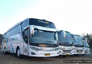 Tips-memilih-rental-bus-di-bali