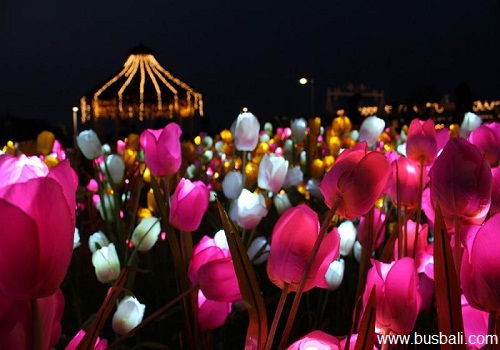 tulip-nusa-dua-ligt-festivall