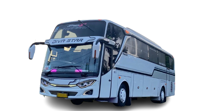 Busbali murah
