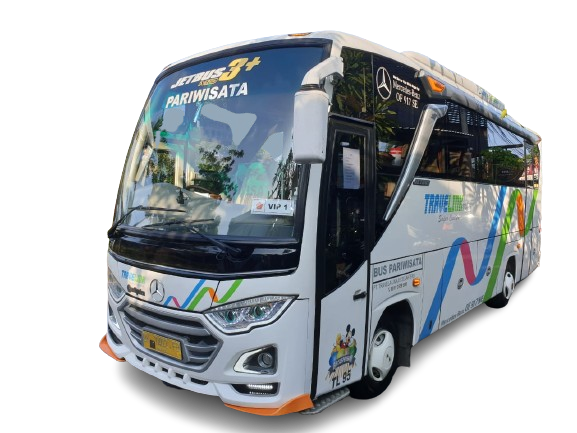 Bus Bali Luxury