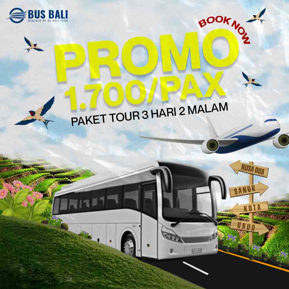 Promo Tour